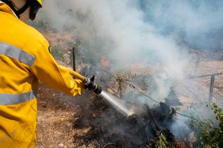 Portugal continua a registar o menor número de incêndios e a menor área ardida da década