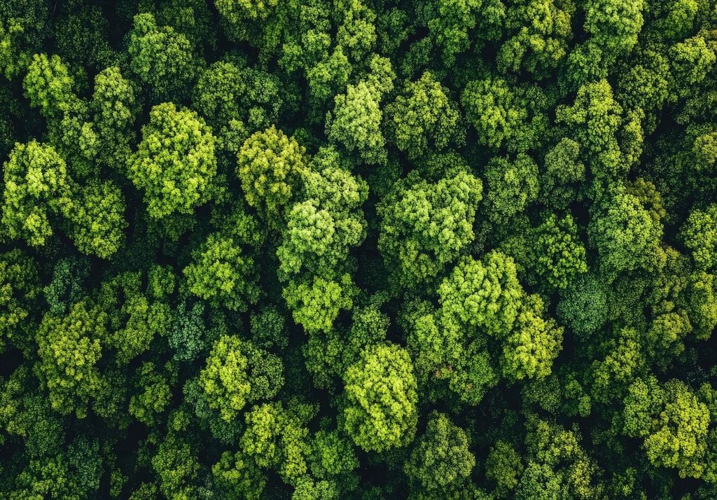 Portugal e sobrecarga ecológica Portugal e sobrecarga ecológica