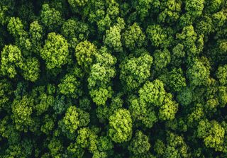 Portugal esgotou esta segunda-feira, 5 de maio, os recursos naturais de 2025: sustentabilidade deixou de ser uma escolha