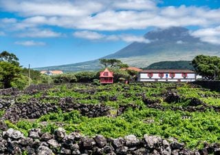 Portugal fecha 2024 com 30 milhões de turistas 