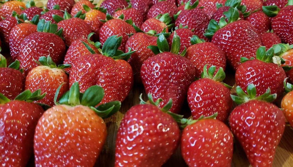 Portugal Fresh investe 2,7 milhões na promoção e internacionalização das frutas e legumes até 2027.