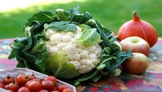 Portugal lidera ranking mundial da resili&ecirc;ncia alimentar elaborado pela The Economist