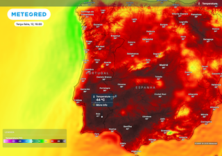 Portugal mantém situação crítica devido a temperaturas elevadas e risco de incêndio até, pelo menos, quarta-feira