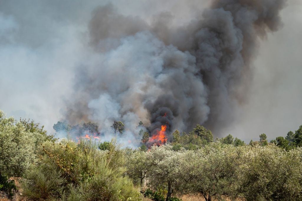 incêndios em Portugal