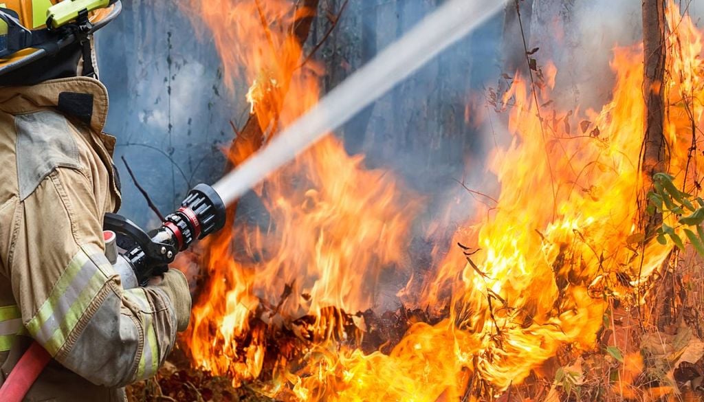 Em 2025, arderam cerca de 271 mil hectares em Portugal, “o quarto valor mais elevado desde 2001”, com 44 incêndios a serem responsáveis por aproximadamente 91% da área ardida.