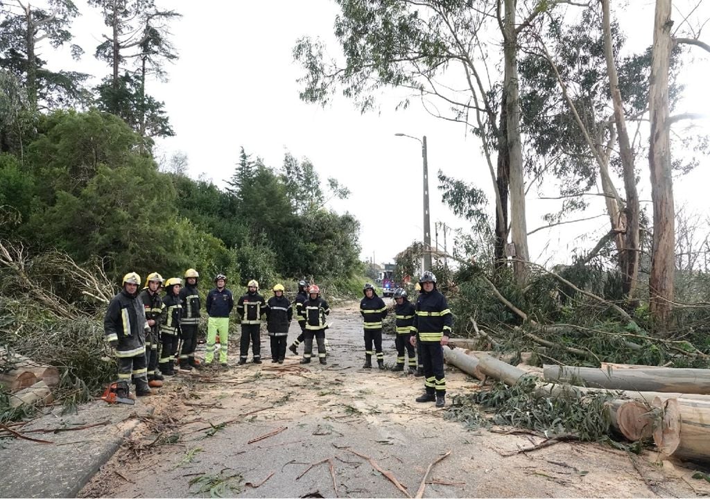 Como em muitos municípios da Região Centro, as quedas de árvores em Coimbra foram a principal consequência material da passagem da depressão Kristin. Foto: reprodução de Facebook/Município de Coimbra