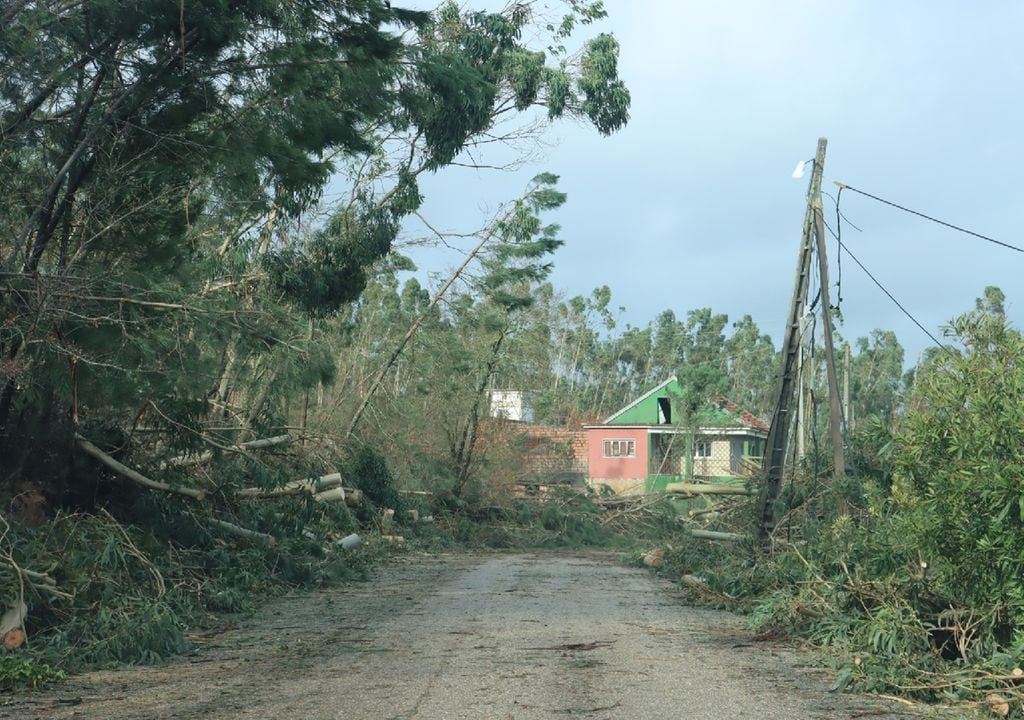 A devastação causada pela passagem da depressão Kristin em Ourém, no distrito de Santarém. Foto: reprodução de Facebook/Município de Ourém