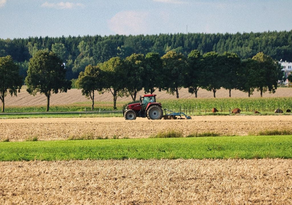 Combinando o conhecimento tradicional com a inovação, o projeto NUSTALGIC promove paisagens agrícolas mediterrâneas mais resilientes e eficientes. Foto: planet fox via Pixabay