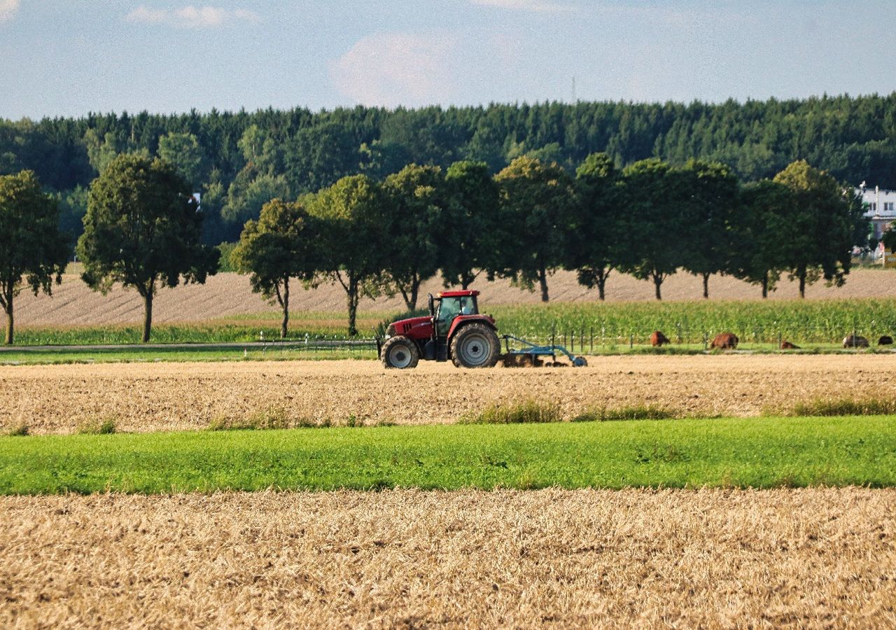 Combinando o conhecimento tradicional com a inovação, o projeto NUSTALGIC promove paisagens agrícolas mediterrâneas mais resilientes e eficientes. Foto: planet fox via Pixabay