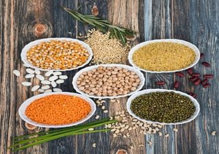 Portugueses lideram projeto para recuperar a tradi&ccedil;&atilde;o e fortalecer a agricultura mediterr&acirc;nica