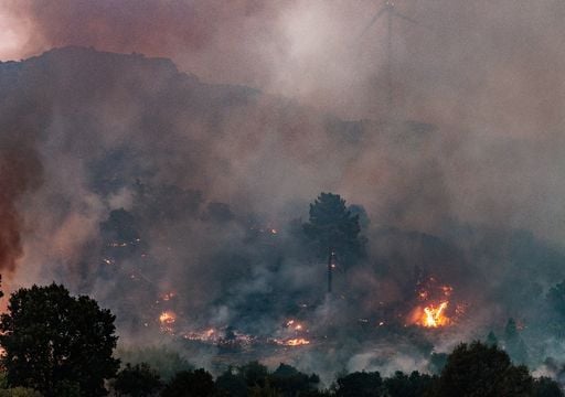 Portugueses s&atilde;o os que se sentem mais afetados por inc&ecirc;ndios florestais, segundo a Ag&ecirc;ncia Europeia do Ambiente