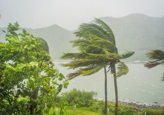 Posible ciclón "Bonnie" se enfila hacia el Caribe y Centroamérica