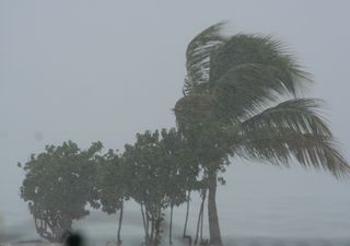 Posible desarrollo ciclónico en el Caribe para esta semana