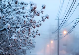 Posible onda gélida en México para la segunda quincena de enero: José Martín Cortés va confirmando frío ártico en camino