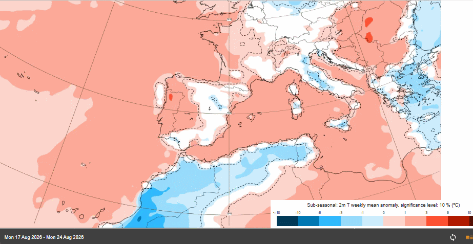 Anomalías semanales de temperatura a 2 m para las semanas 17-23 y 24-30 de agosto de 2026: cálidas en escala de rojos y frías en escala de azules. Nótese la anomalía fría de la última semana completa de agosto en el interior peninsular (zona en azul) ECMWF