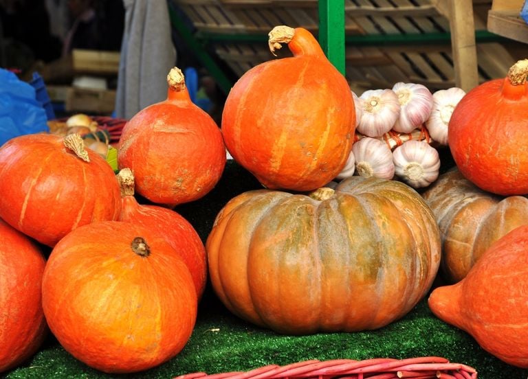 Potager : comment conserver ses courges et que planter ensuite ?