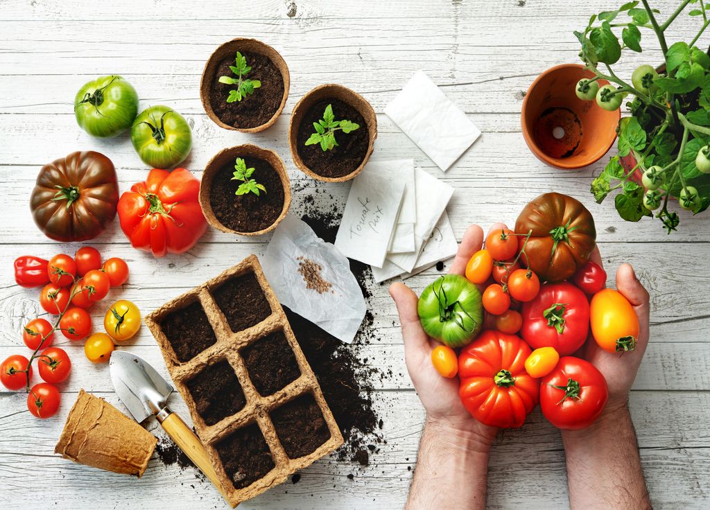 Frutas y verduras Frutas y verduras