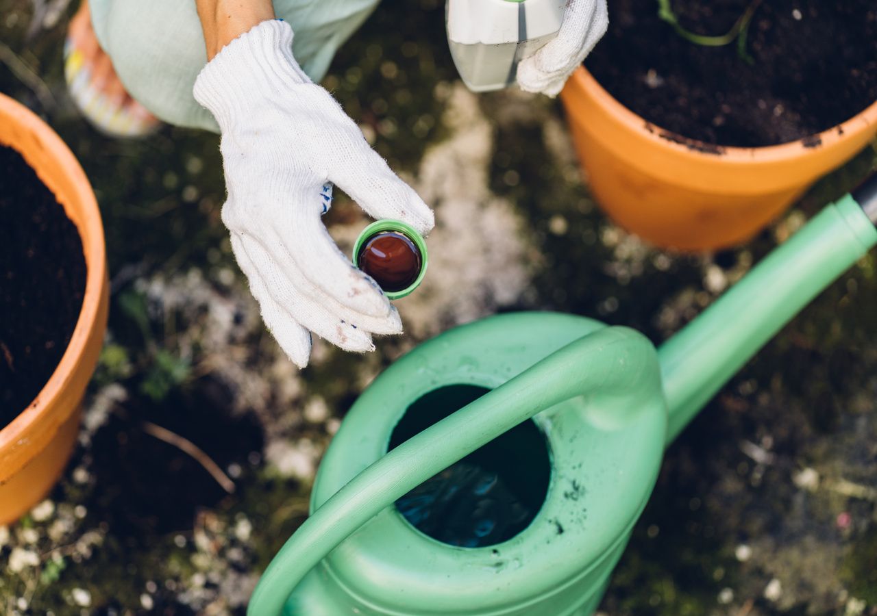 Los biopreparados y fertilizantes ecológicos transforman nuestros jardines en oasis sostenibles, mientras cuidan la salud del suelo y del medio ambiente.