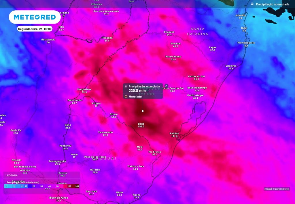 Previsão de chuva acumulada até o fim do próximo domingo (25), de acordo com o ECMWF.