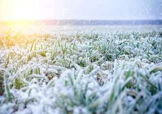 Potenciales heladas y lluvias erráticas para el mes de abril