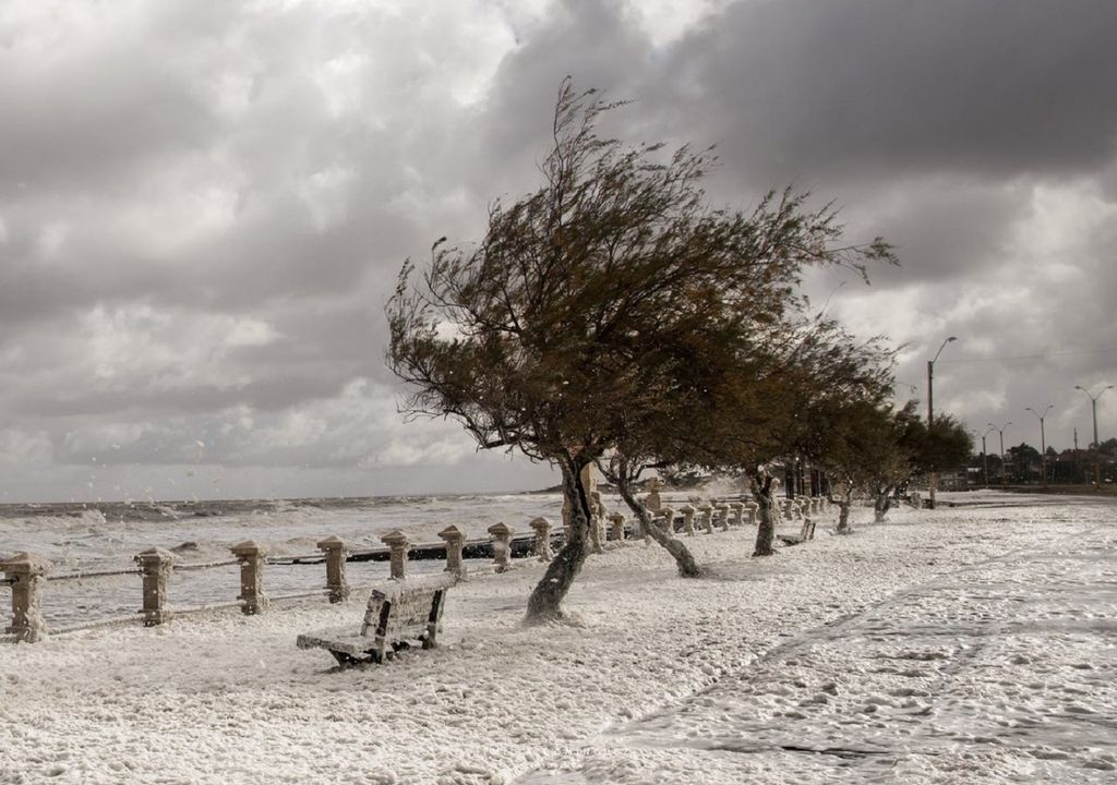 Sea Foam