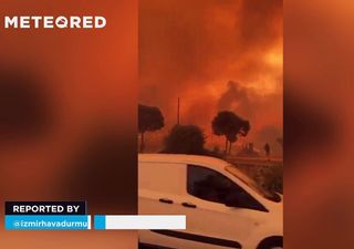 Potente incendio forestal genera graves daños en Izmir, Turquía