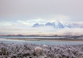 Potente onda de aire frío extremo podría congelar parte de los canales en la Patagonia