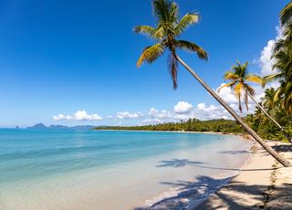 Pour échapper aux tempêtes hivernales, cap sur les Antilles début 2024 pour un paradis tropical !
