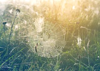 Pour lundi matin, parfois moins de 10°C au petit matin ! Quelles régions concernées ? 