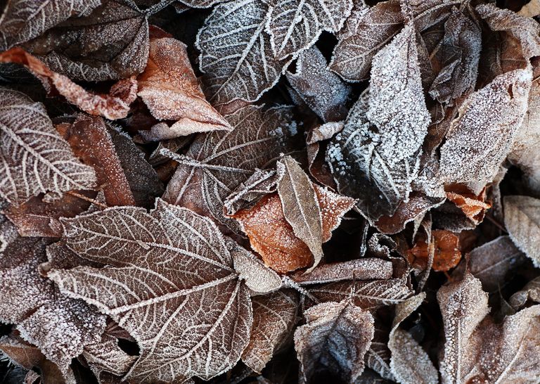 Pourquoi de telles amplitudes thermiques en ce début d'automne ? Pourquoi de telles amplitudes thermiques en ce début d'automne ?