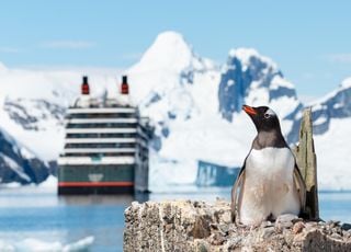 Pourquoi l'activité touristique devient vraiment inquiétante en Antarctique ?
