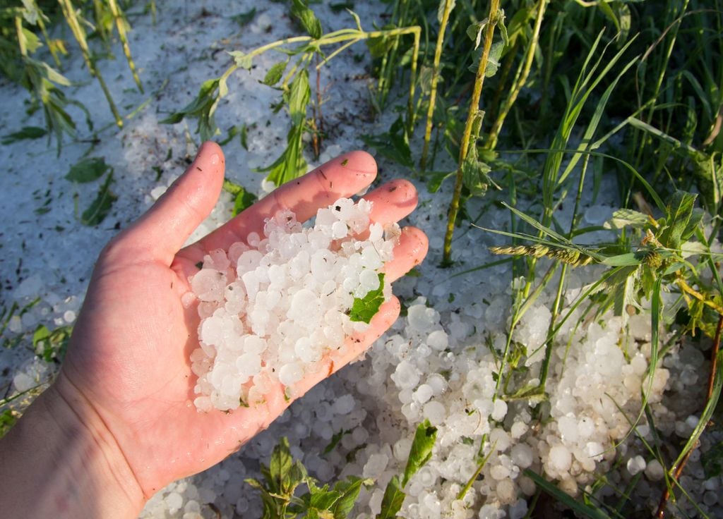 La grêle, autrefois un phénomène relativement modeste, devient un symbole des menaces cachées du réchauffement climatique.