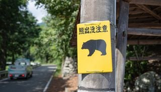 Pourquoi le Japon a-t-il fait fermer certaines &eacute;coles ?