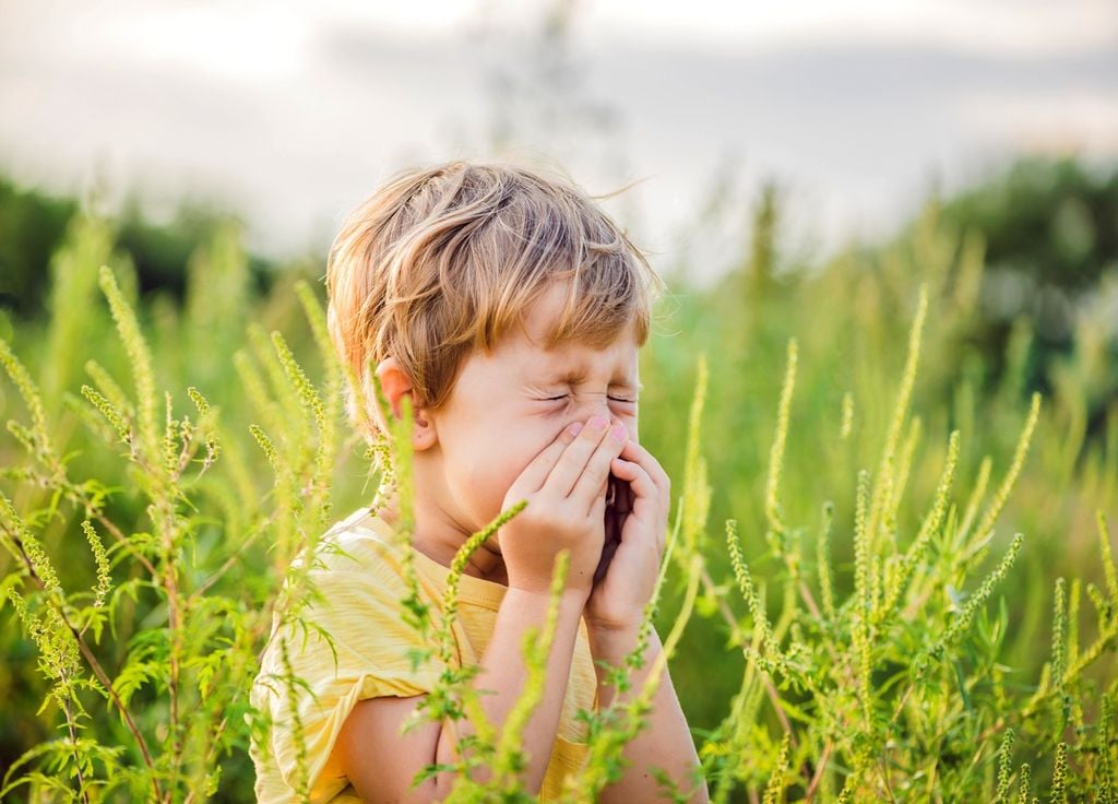 Nombreux sont les personnes, petites et grandes, touchées par les allergies liées aux pollens au printemps
