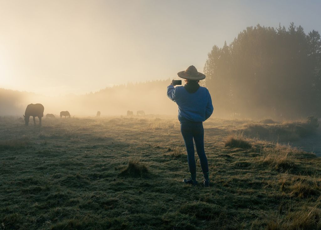 Le manque de chaleur solaire suffisante pendant les mois d'hiver peut aussi expliquer la persistance des brouillards. Le manque de chaleur solaire suffisante pendant les mois d'hiver peut aussi expliquer la persistance des brouillards.