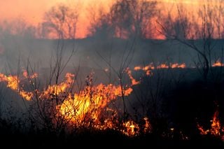 Por que os incêndios são tão comuns na Califórnia?