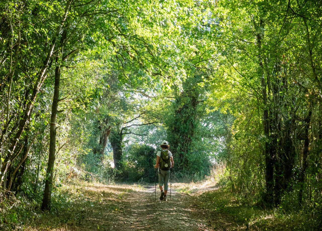 Une marcheuse sur le Camino.