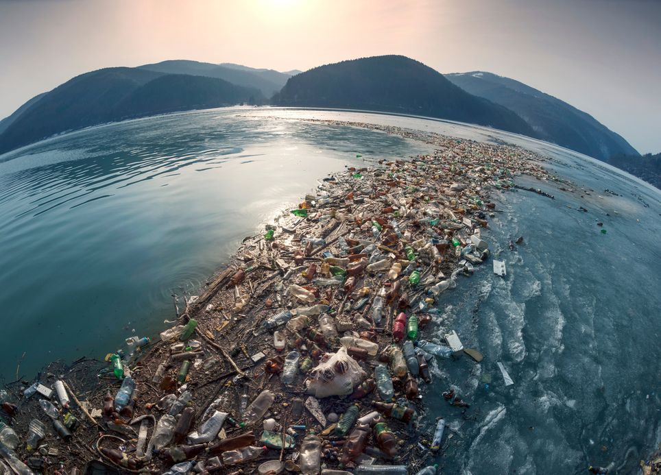 Kurios: Warum soll der Müll nicht aus dem Pazifik entfernt werden?