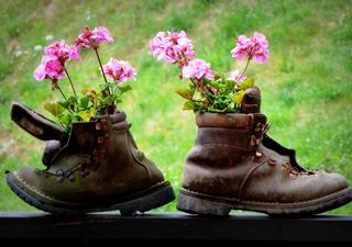 Prachtvolle Balkone – Balkonblütenmeere haben im Alpenraum eine lange Tradition