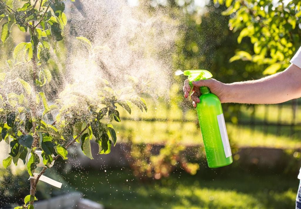 O uso de soluções caseiras naturais contribui para um cultivo sustentável, seguro e eficiente, protegendo as plantas.