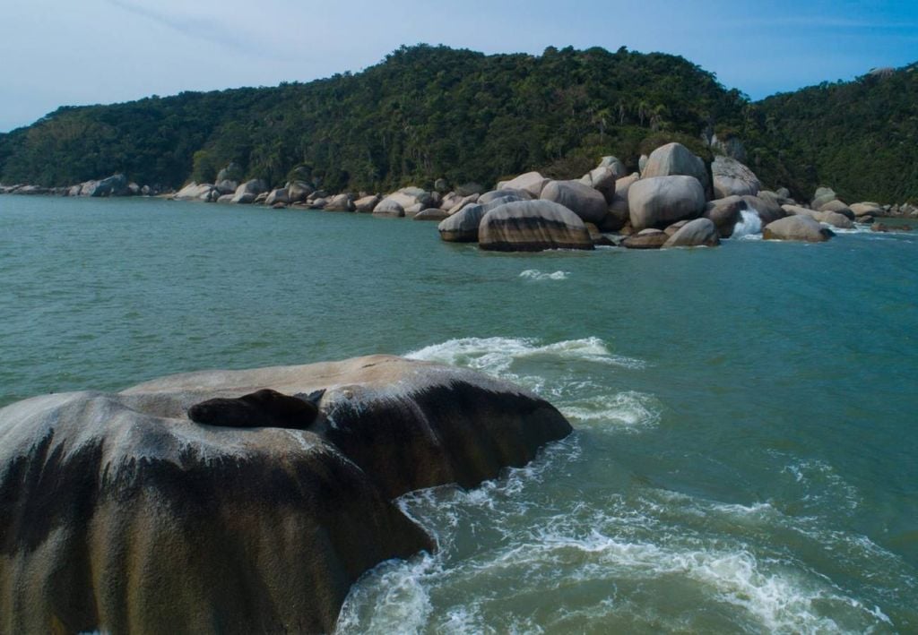 Costão Praia da Tainha - Mar de Dentro (Bombinhas, SC). Crédito: Divulgação.