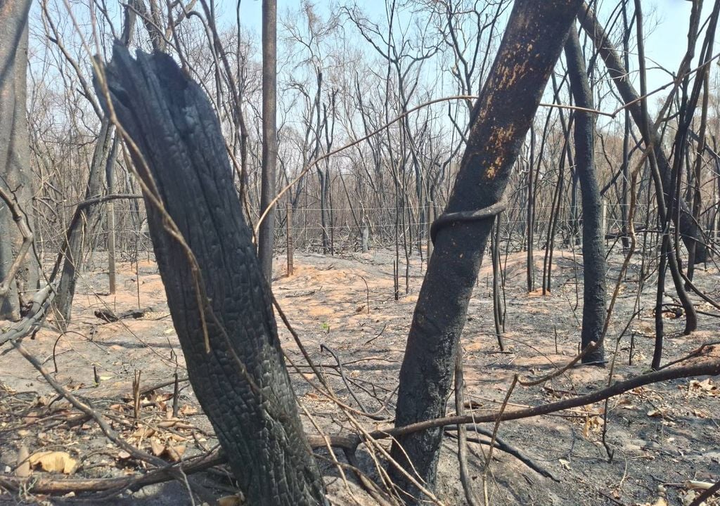 incêndio incêndio