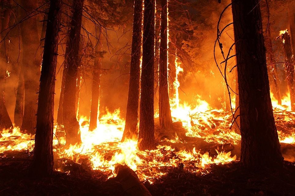 Precaución, el máximo riesgo de incendios ya está aquí Precaución, el máximo riesgo de incendios ya está aquí
