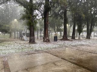 Intensa precipitación deja estragos en Jalisco