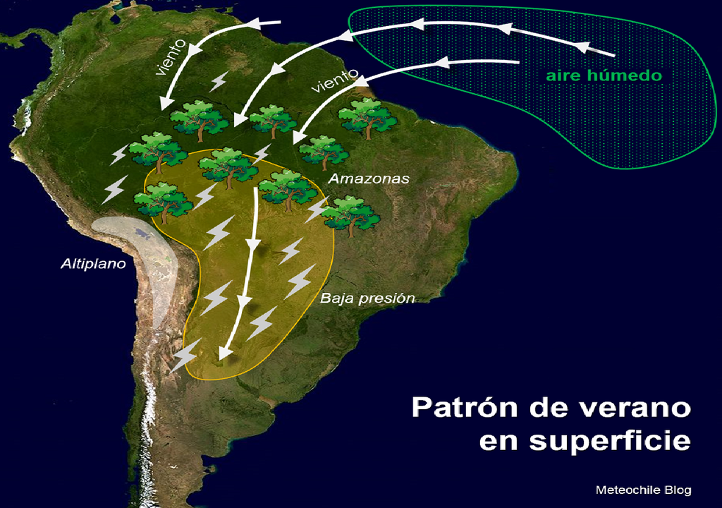 Patrón de verano en superficie Patrón de verano en superficie