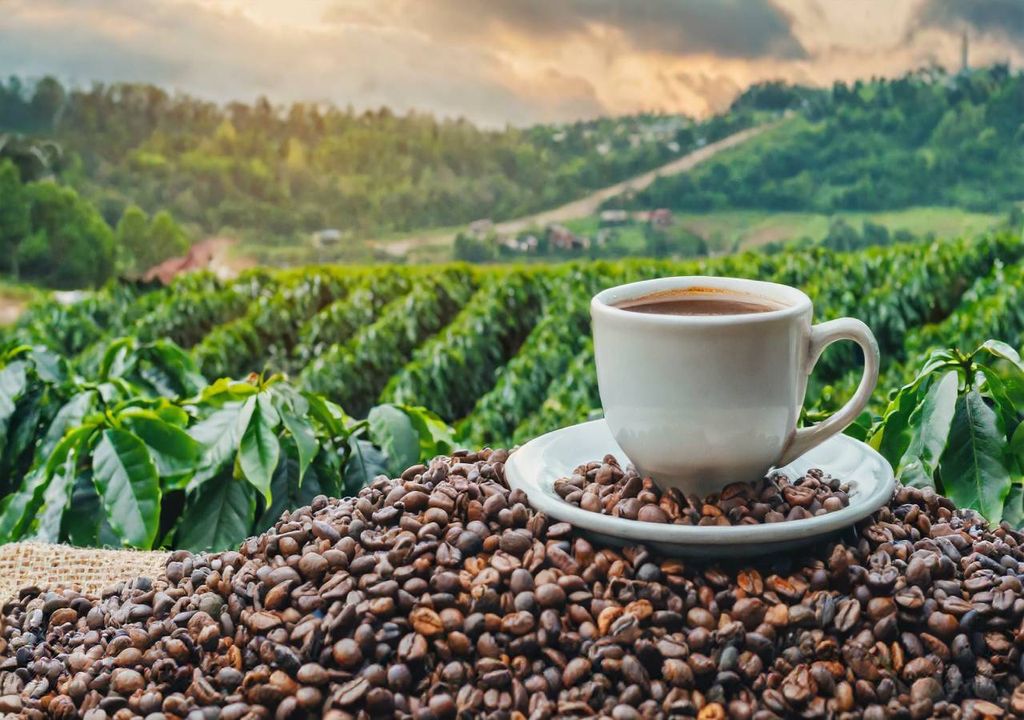 Café
