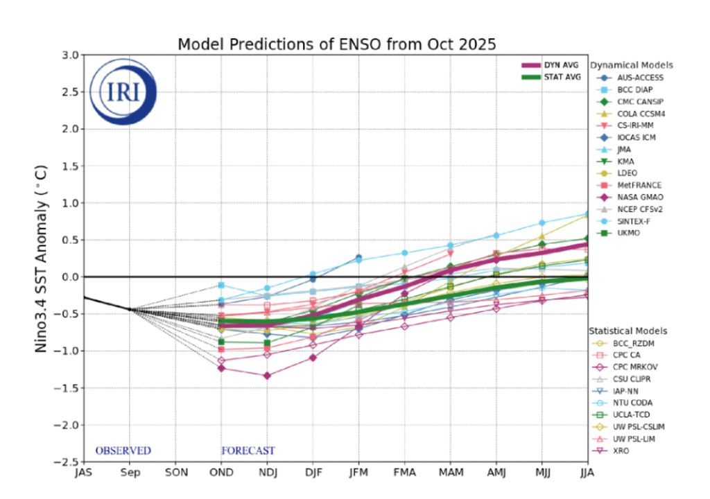Los modelos dinámicos y estadísticos del IRI muestran la persistencia de anomalías frías cercanas a –1 °C durante el verano austral 2025–2026, seguidas de una tendencia hacia la neutralidad hacia el otoño. Fuente: IRI / CIIFEN.