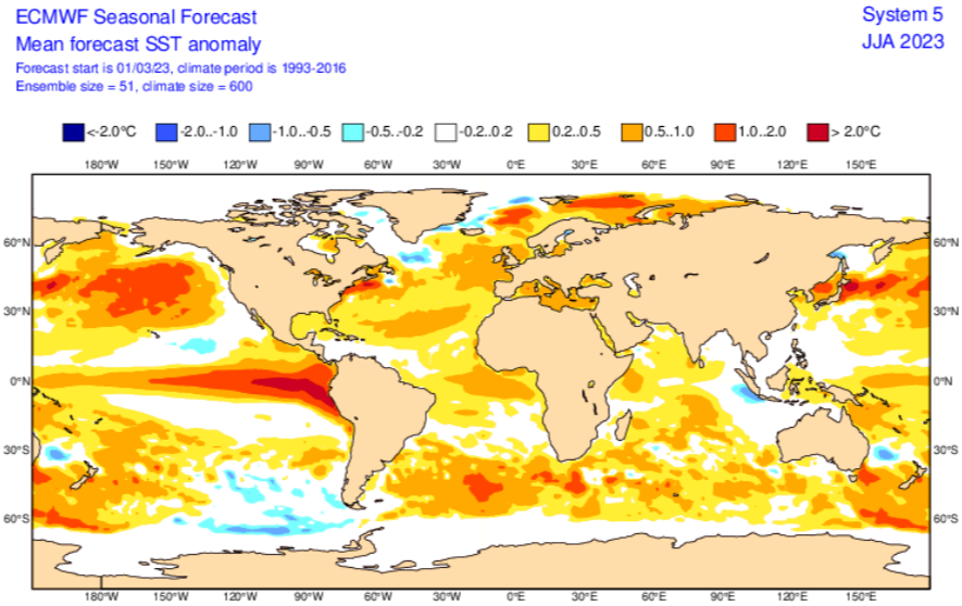 Anomalías previstas de la temperatura del agua del mar a nivel global para la predicciones para junio, julio y agosto, JJA, de 2026 (arriba) y 2023 (abajo) con las fuertes anomalías de El Niño previsto en el Pacífico ecuatorial con anomalías frías/cálidas en tonalidades azules/rojas. ECMWF.