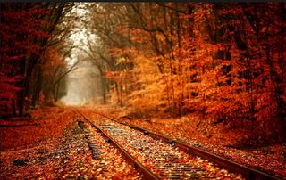 Predicciones del otoño 2015 por AEMET