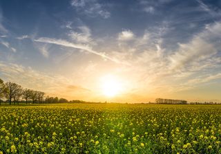 Predicción estacional: ¿qué tiempo hará esta primavera?